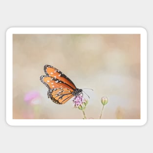 Monarch Butterfly Simplicity Sticker